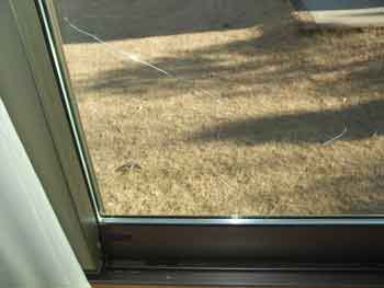 浦安市ガラス修理・交換のご案内