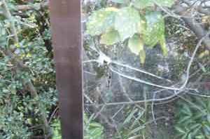 荒川区で空き巣被害の窓ガラス