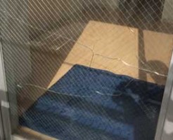 千葉市緑区の網入りガラスひび割れ