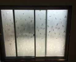 市川市のガラス交換前