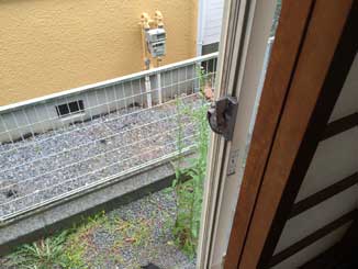 ガラス修理・交換後